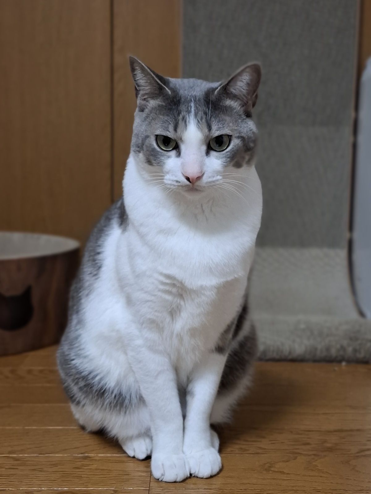 アッシュ